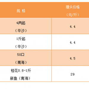 2019��1��18���a�~���_���~�����N�����~���^�r��