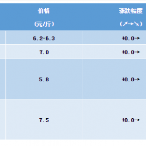 2019��1��19�ղ�β�t���^�r���麆��--�r���^�����