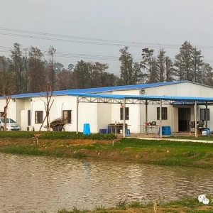 ���B(y��ng)���Ρ������B(y��ng)ֳ�����B�w�����﷿����Ҫ�𣿣�