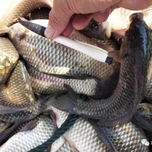 �K���������3.5Ԫ��픣����P�������a�~�����ܷ��|�׷�����