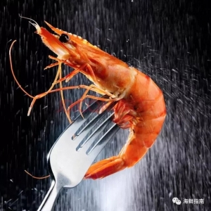 ���ذ����rʳ��-���^���rˢ�����Ȧ��߉݋