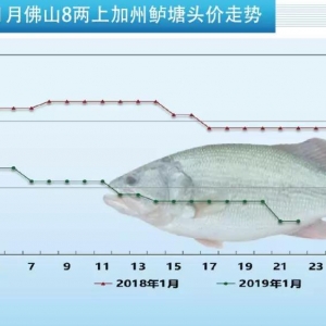 �����»����V�|8���ϼ����|����9Ԫ�P�ڣ�����2019��1��22�ռ����|���^�r��