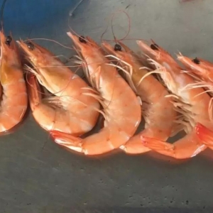 ���Ȍ��rһ��һ���r�������|ɽ���r����70Ԫ/��