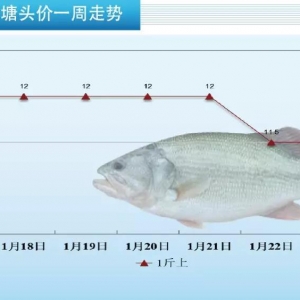 �V�|�ٵ�0.2Ԫ/��I(y��)��(n��i)��ʿ���h����ֻų��~���������|һ���������