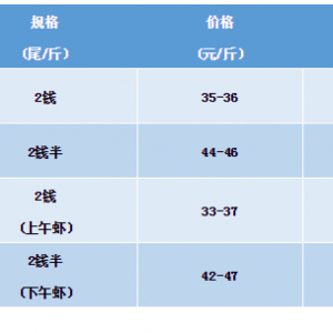 2019��1��26���_�����r���^�r