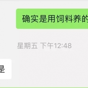 ��ʲô�������˹���Ĩ���Z�~��ϣ��@����Ҳ���