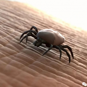 ���������������x�w�ȷ��܂��������׷�������߀����������©��