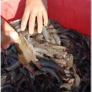 տ���������������r�r���q����ߝq5Ԫ/�