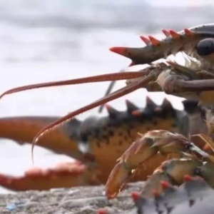 ��ǰ�Ї������r��Ӹ߲������²������ʡ�Ӵ��Ї�������