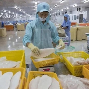 Խ�ϰ�ɳ�~�Bֳ�I�@�����^50%