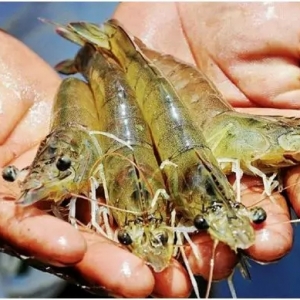 ȫ���r�r(ji��)���ܕ�(hu��)���F(xi��n)�{(di��o)�������@�l�~(y��)��������Ȼ��(ji��n)ͦ