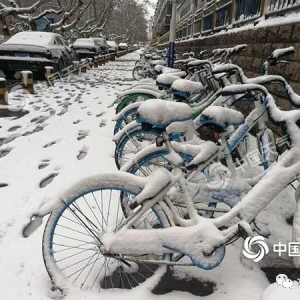 ���������ͱ���ѩ+17��(j��)����(qi��ng)�_(t��i)�L(f��ng)�p������