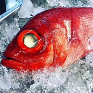 ��؛�����t�~��Ҫ�����ӷ�����@Щ�tɫ�~��