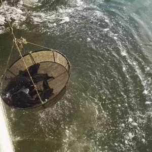 �r�����鲻�ݘ��^��ʯ���~���^��rح�ι���r