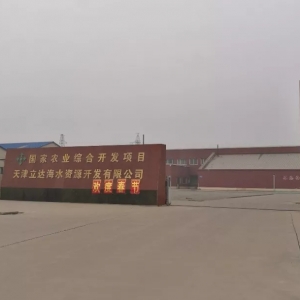 ���C����������һ���\��������|�����׌��r��Ӗ��