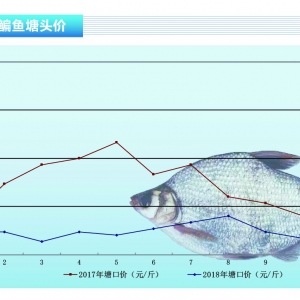 ���~���������飬�y����ɫ������ˮ�aǰ�ء�2019��2�¿��Ј�څ��