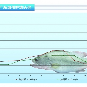 �����|��Ԫ���������������֮a�^�~�r�؝q������ˮ�aǰ�ء�2019��2�¿��Ј�څ��