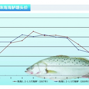 ���|�����~�r��؜����~�繩���o���r������������ˮ�aǰ�ء�2019��2�¿��Ј�څ��