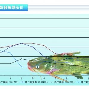 �S��~���V�|���Ĵ���ʡС������������ˮ�aǰ�ء�2019��2�¿��Ј�څ��