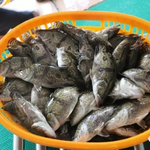 �Z�~(y��)|���(y��u)�|(zh��)��ˮ�~(y��)ÿ�����^�r(ji��)�񲥈�(b��o)