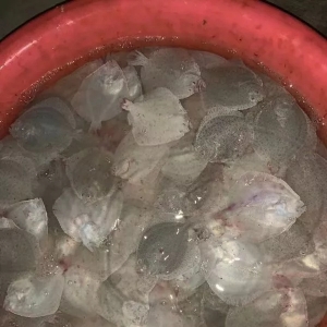 ����һ��(g��)���µ��~(y��)�羹Ȼȫ܊���](m��i)���pʧ�K��