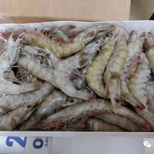 ���r��؛�������ۣ�����(n��i)��ͨ�r�����ؚw����