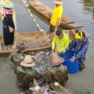 ����(j��)���У�����2.5Ԫ/����~ȫ�����P