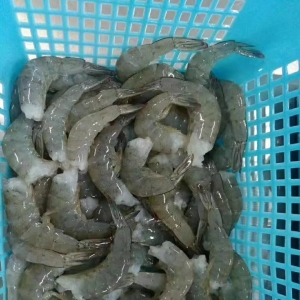 �}���uˮ�r�����N�̶��f�ڸк�