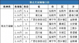 2��22�ա�2��28�ն��~�N���ڃr����