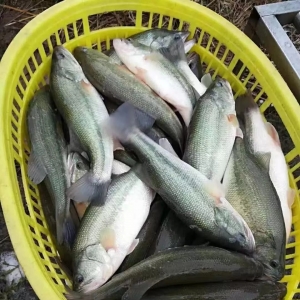 ȫ���ؕᣡ���ؼ����|3��4������r