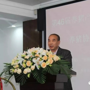 �B�i�I������Σ�U�ĕr�����B�i��߀����ʲô��