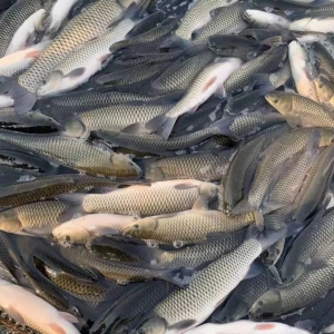 ��������߷���u������Εr(sh��)�܉��ϝq