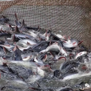 ���Ȱ�ɳ�~��؛�����ꮅ���M���̼���ӿ��Խ��