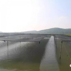 ����������ꎾW���ϰك|Ԫ�ĺ����������ڞ��y��