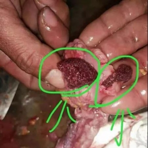 ���K�~Խ����һ���֡��Z���ϡ��������