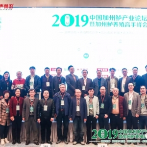 ��300���R�۷�ɽ��ֻ��l(f��)չ�@�l�~��