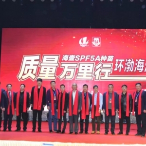 ��Ʒ�|(zh��)�ĸ߿��磬ֵ���ڴ�