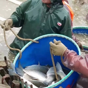 ��^���ģ����~�K�ڝq�r(ji��)������ѝq0.5Ԫ��