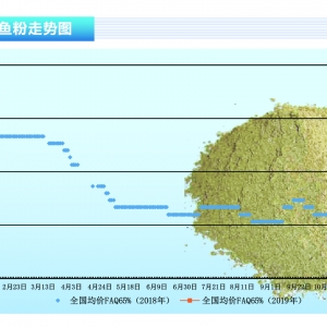�~�ۣ������������~�ӽ���ɣ��������~�ۃr���»�������ˮ�aǰ�ء�2019��2�¿��Ј�څ�� ...