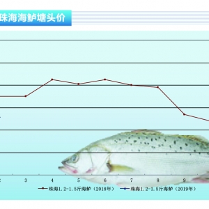 ���|�������������M���r����F���L�E�󡪡���ˮ�aǰ�ء�2019��1�¿��Ј�څ��