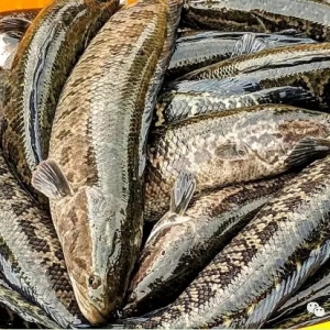 ���~��߃r���F��혵£�����2���Ј��r