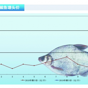 ���~�����ݷ��� �ɽ����Ŵ󡪡���ˮ�aǰ�ء�2019��1�¿��Ј�څ��