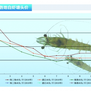 ��(du��)�r�������l���B(y��ng)ֳ�y����(ji��)�Վ���(d��ng)�r�r(ji��)�ϓP(y��ng)������ˮ�a(ch��n)ǰ�ء�2019��1�¿��Ј�(ch��ng)څ��(sh��)