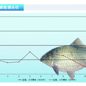 �a�~�������»��ࠀ�С�����ˮ�aǰ�ء�2019��3�¿��Ј�څ��