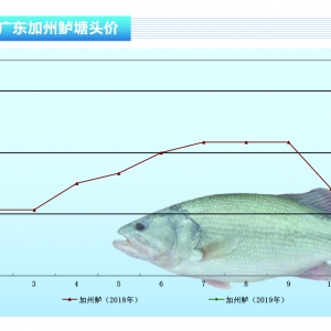 �����|��Ԫ���������������֮a�^�~�r�؝q������ˮ�aǰ�ء�2019��2�¿��Ј�څ��