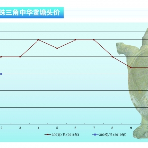 ���~�����Һ��������~�r����������졪����ˮ�aǰ�ء�2019��3�¿��Ј�څ��