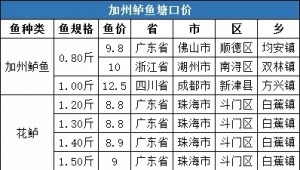 �r���ϝq��һ�ܣ�3��8�ա�3��14�գ������|���ڃr����