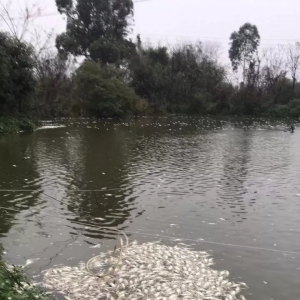 ���~��Ͷ�������ƣ����־��ǘI(y��)��(n��i)֪���~�̣������¹��~�r������