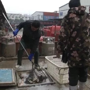 ������B(y��ng)240�f�����~�r���߀Ҫ������