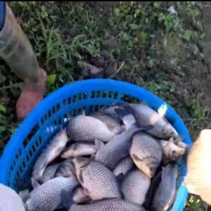 ���~��Ҫ�~���࣬�a�~�r�ϝq�ɶ��֣�